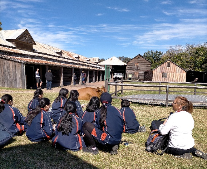 Students sitting with cow near stables at Belgenny Farm