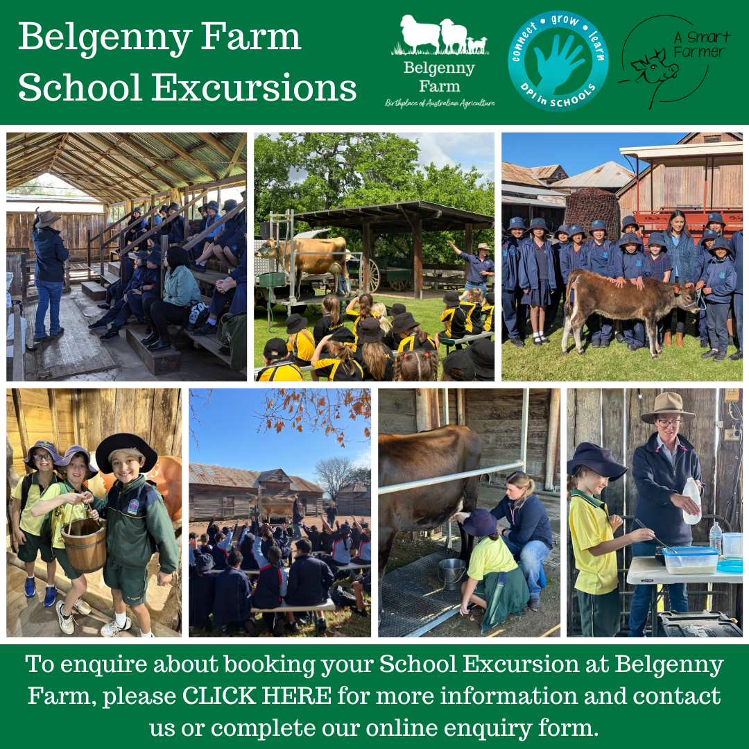 Belgenny Farm School Excursions