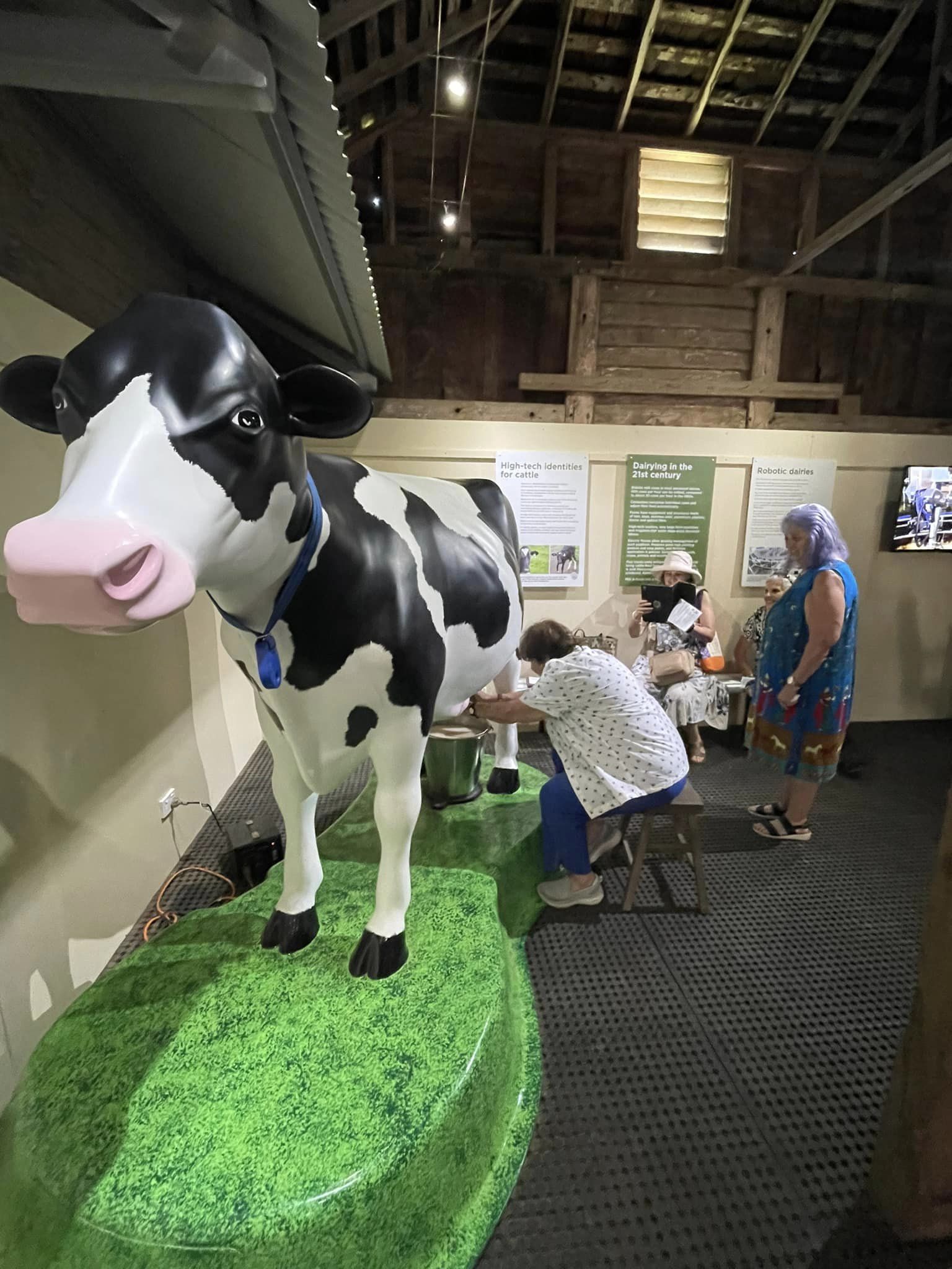 Tour group milking Besty the artificial cow
